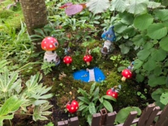 Terra Nova Fairy Garden Award