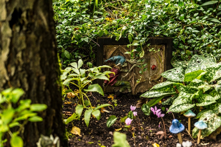 Terra Nova Fairy Garden
