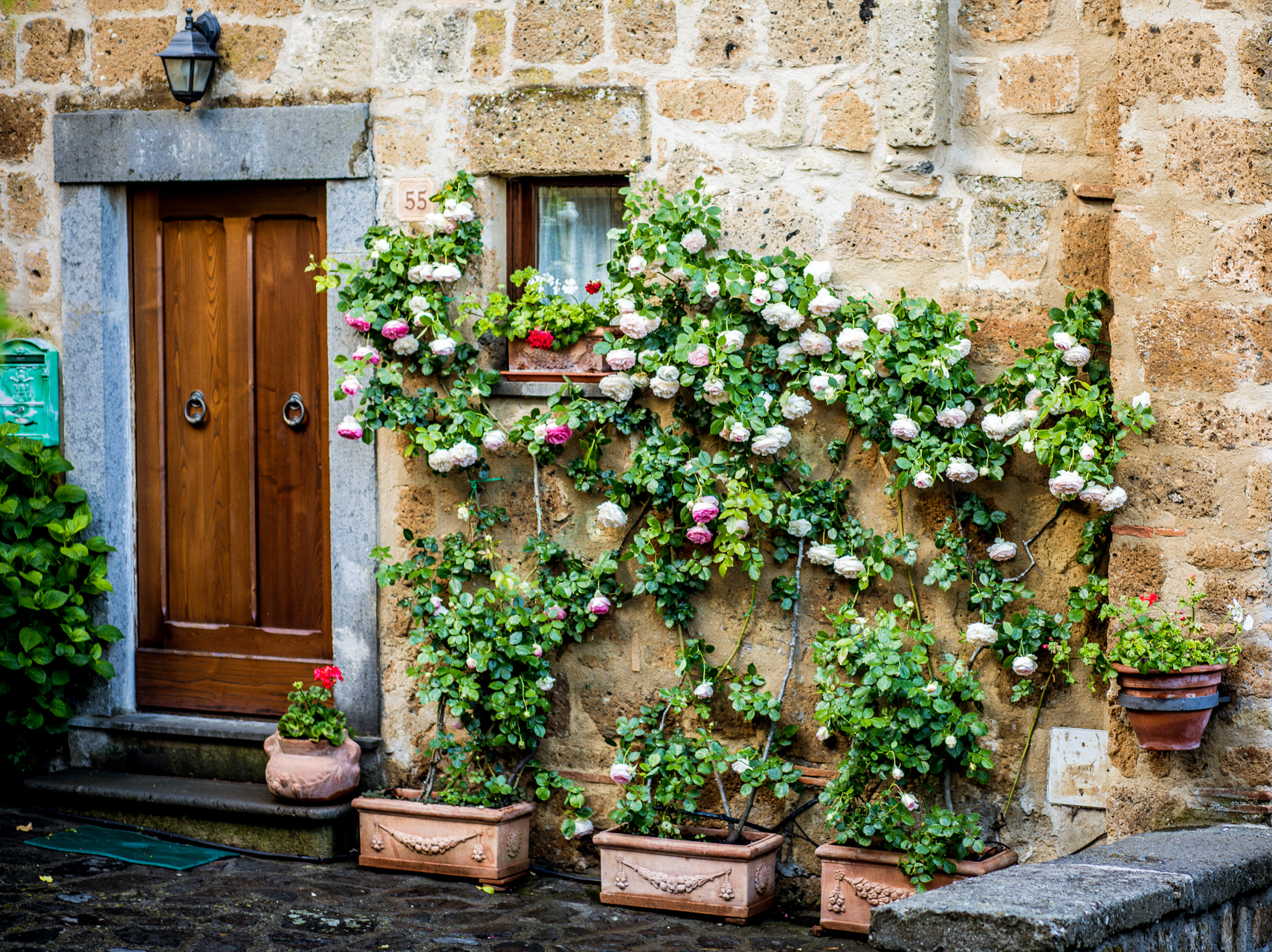 Northwest Garden Tours
