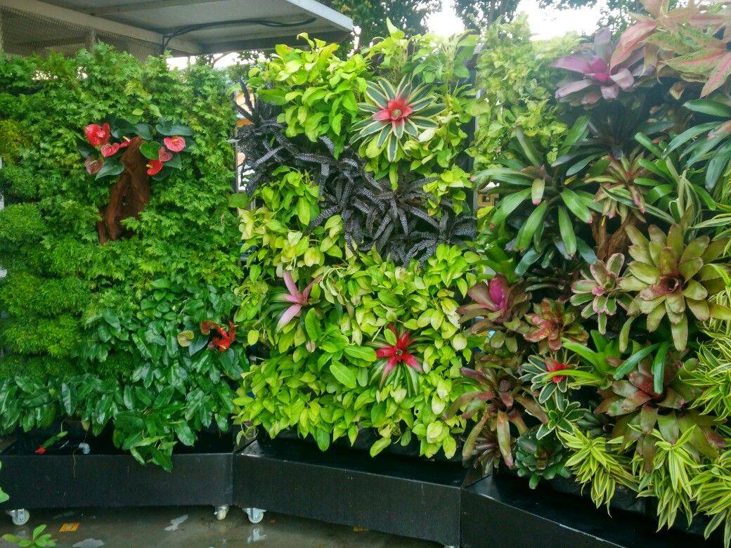 Trendy Garden Ideas