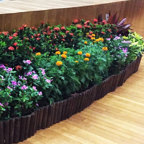 Bhd Plant Rental Landscaping Plantscaping
