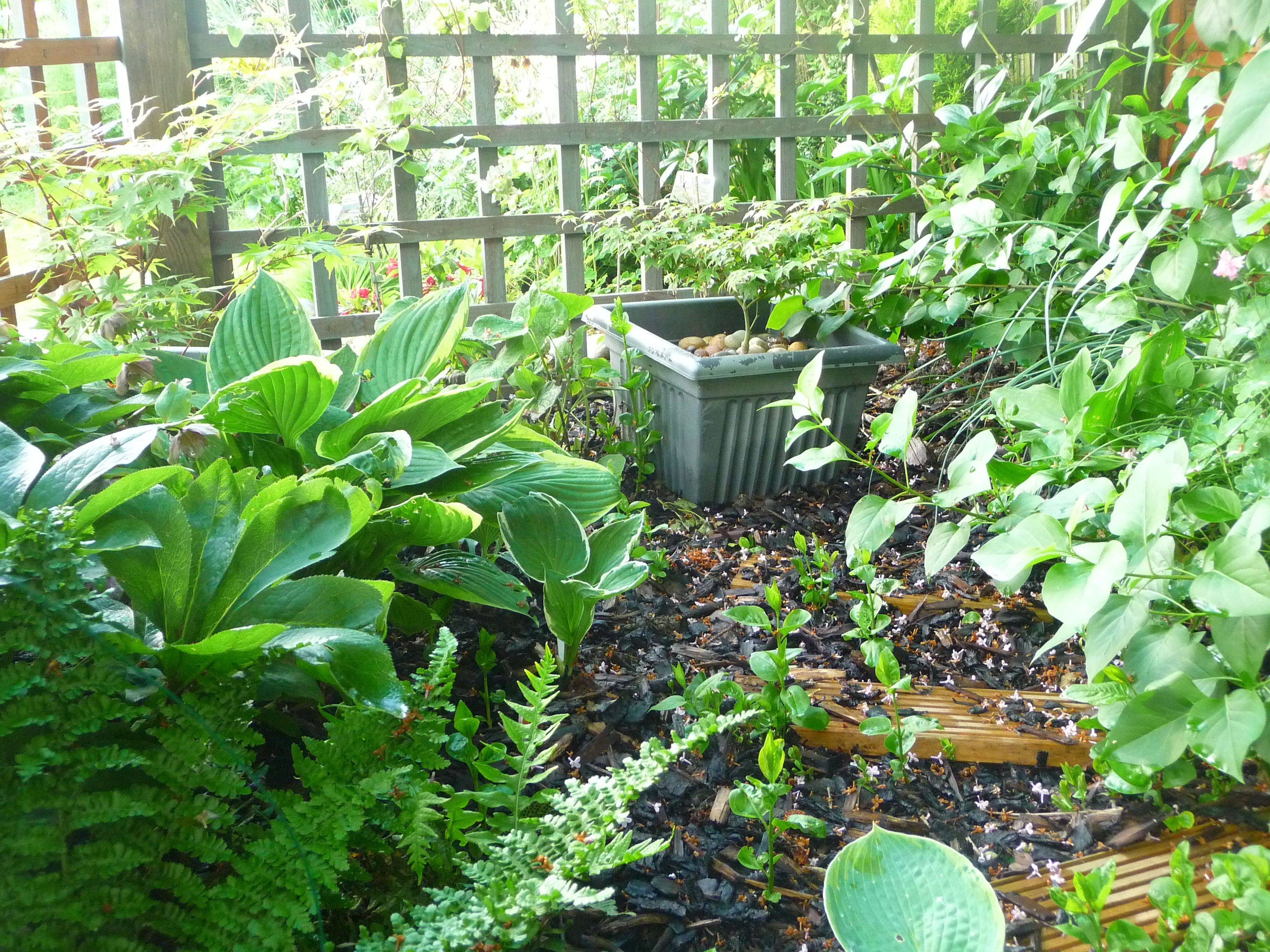 Garden Ideas Malaysia Landscape Garden Design
