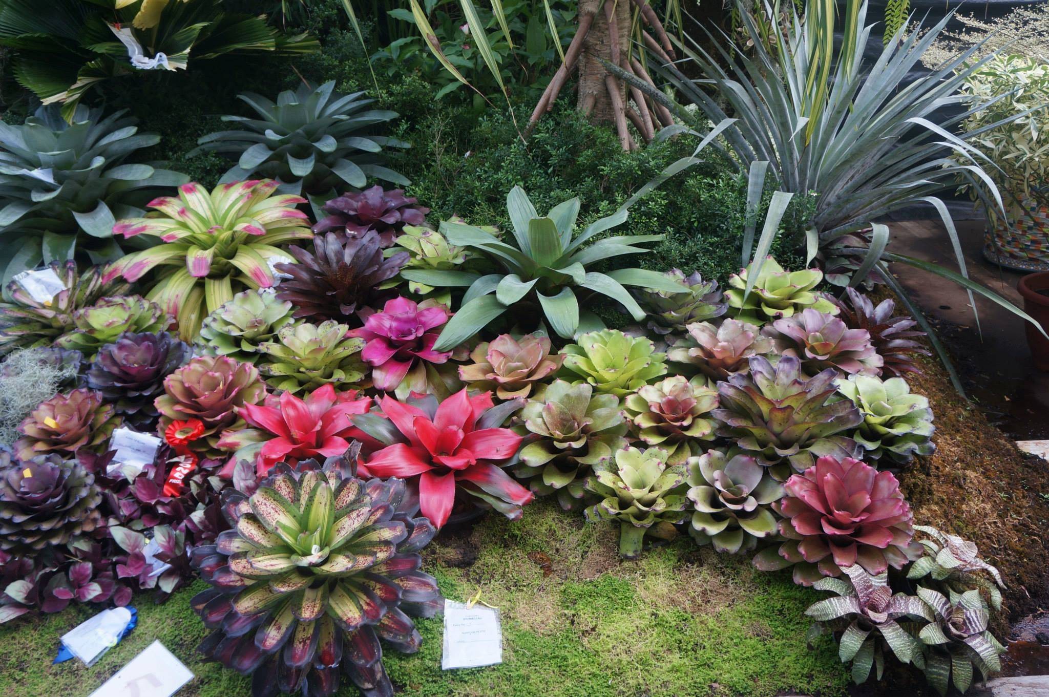 Landscape Garden Design