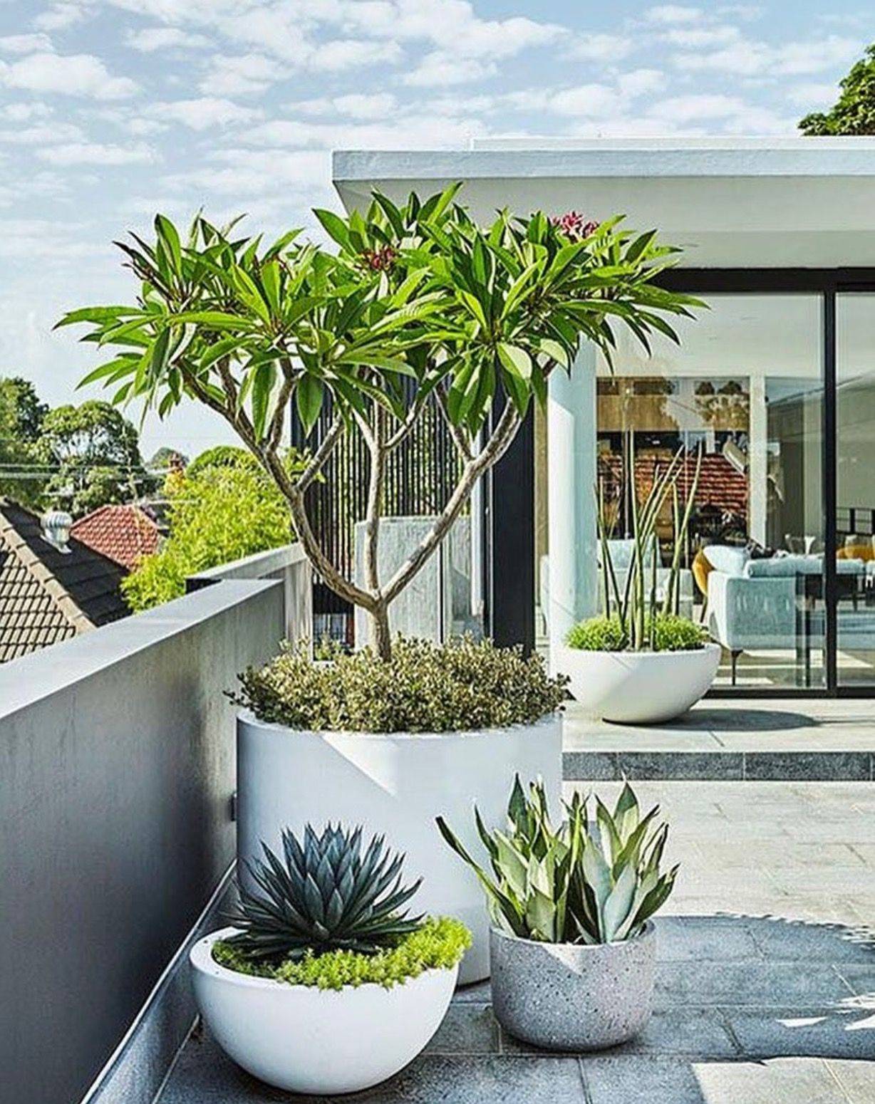 Landscaping Idea Garden Landscape Design