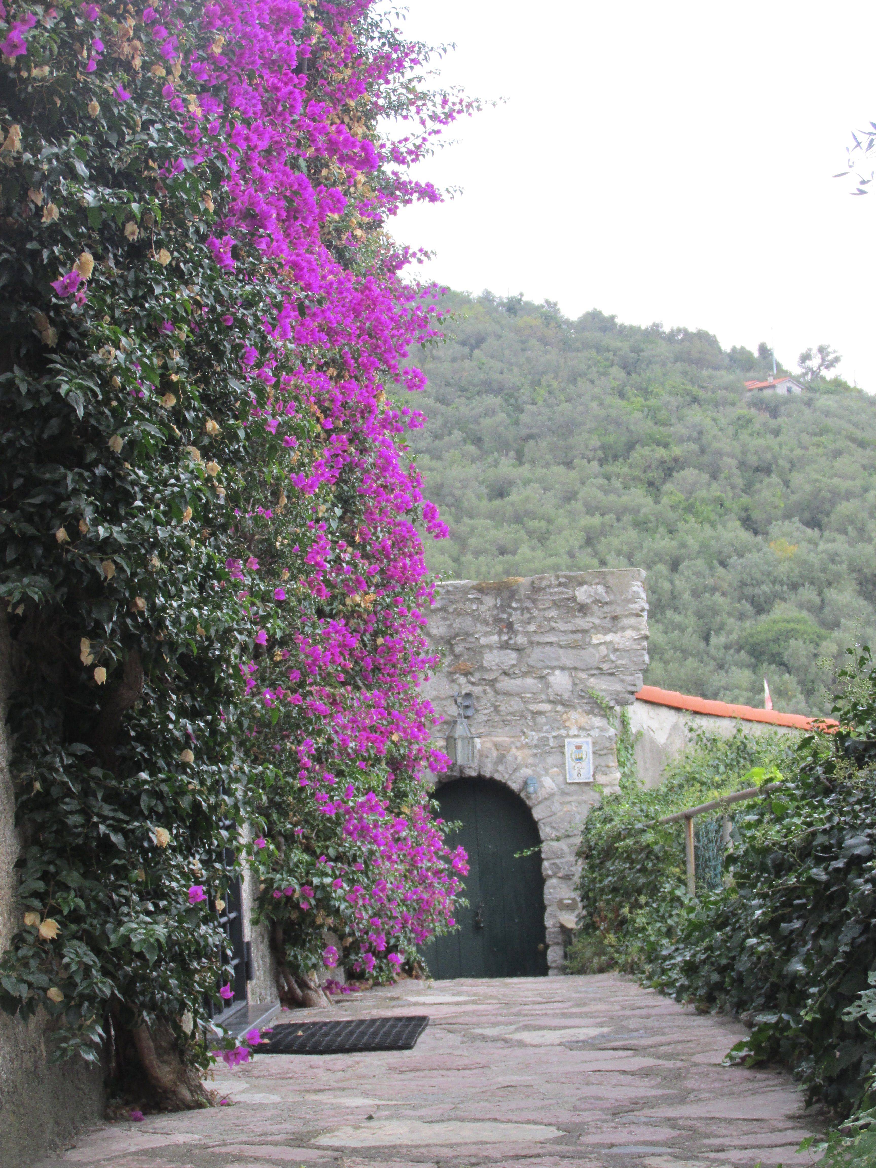 Cinque Terre