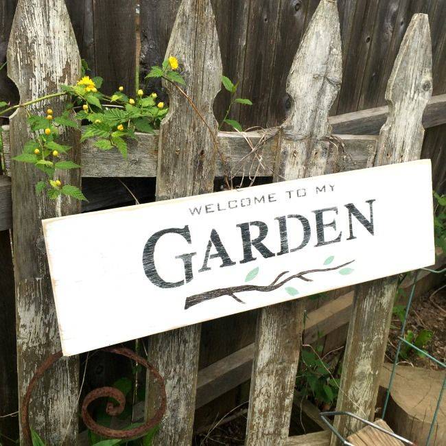 Stunning Rustic Outdoor Wedding Ideas You Will Love