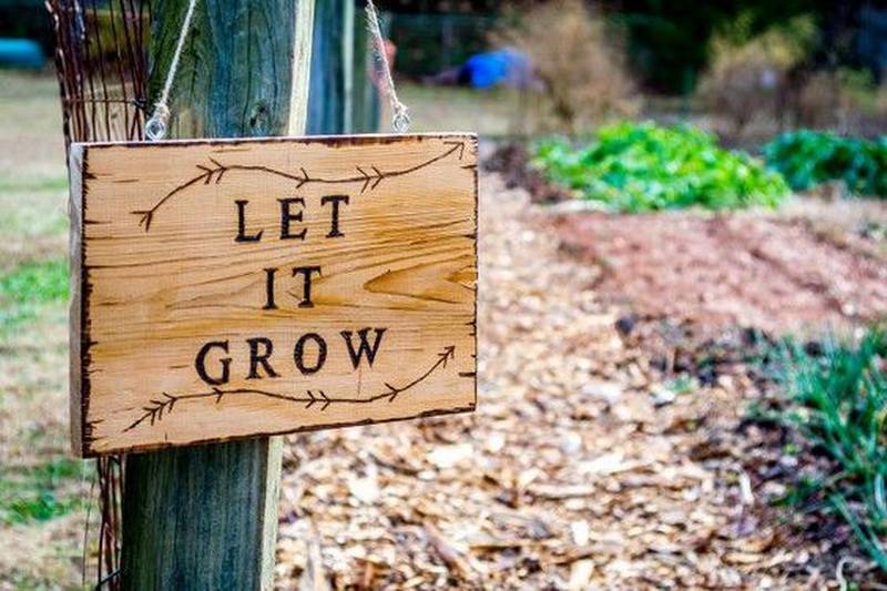Best Garden Sign Ideas