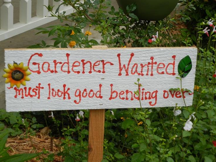 The Garden Funny Garden Signs