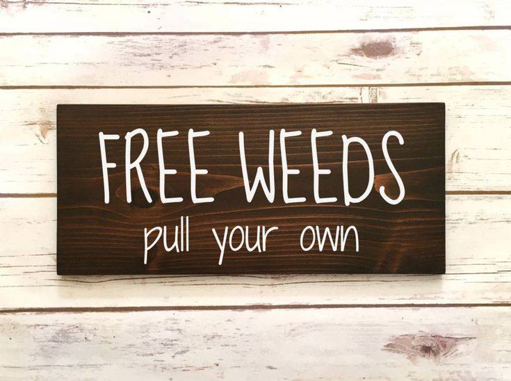 Funny Garden