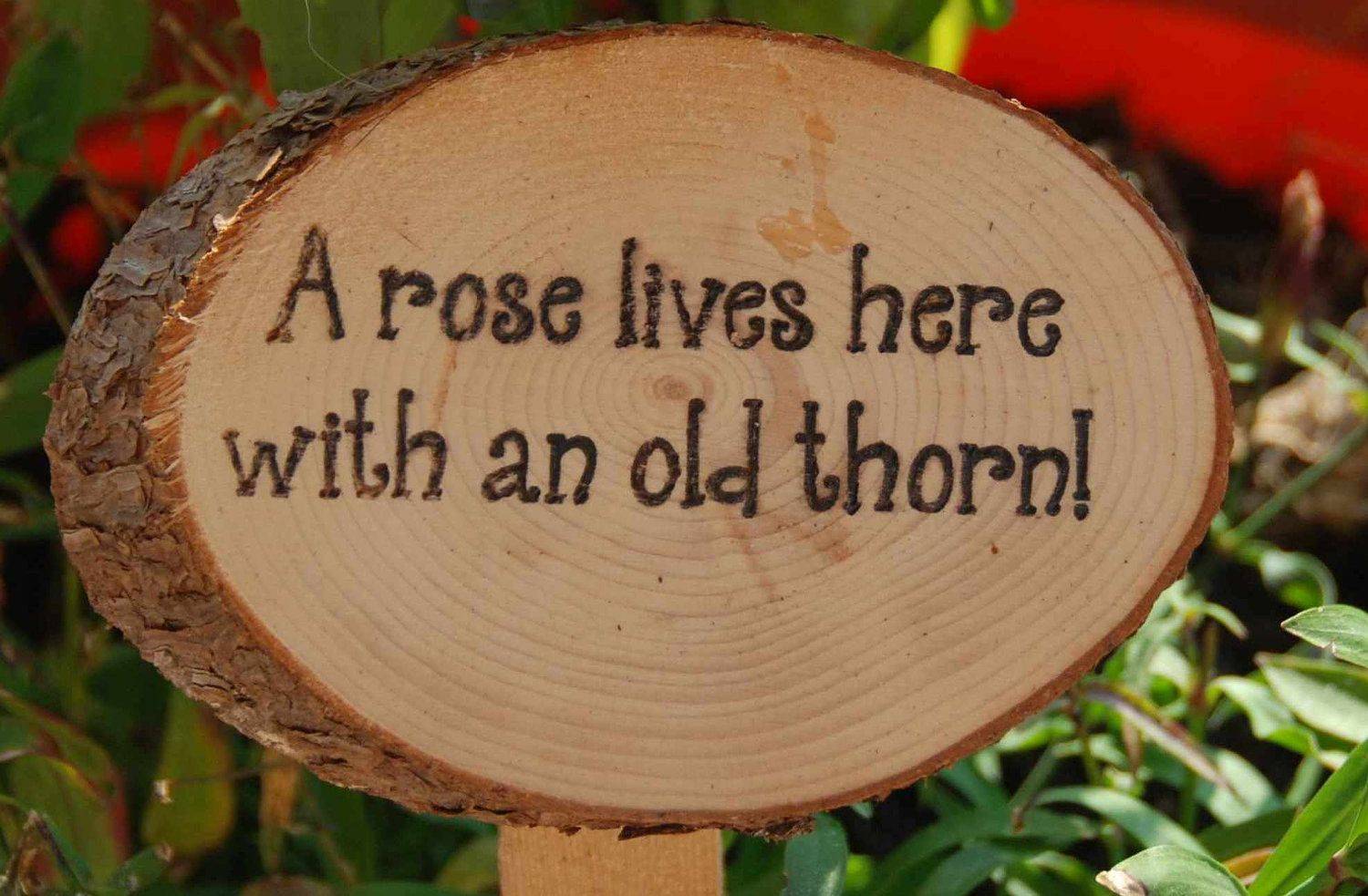 Humorous Garden Signs