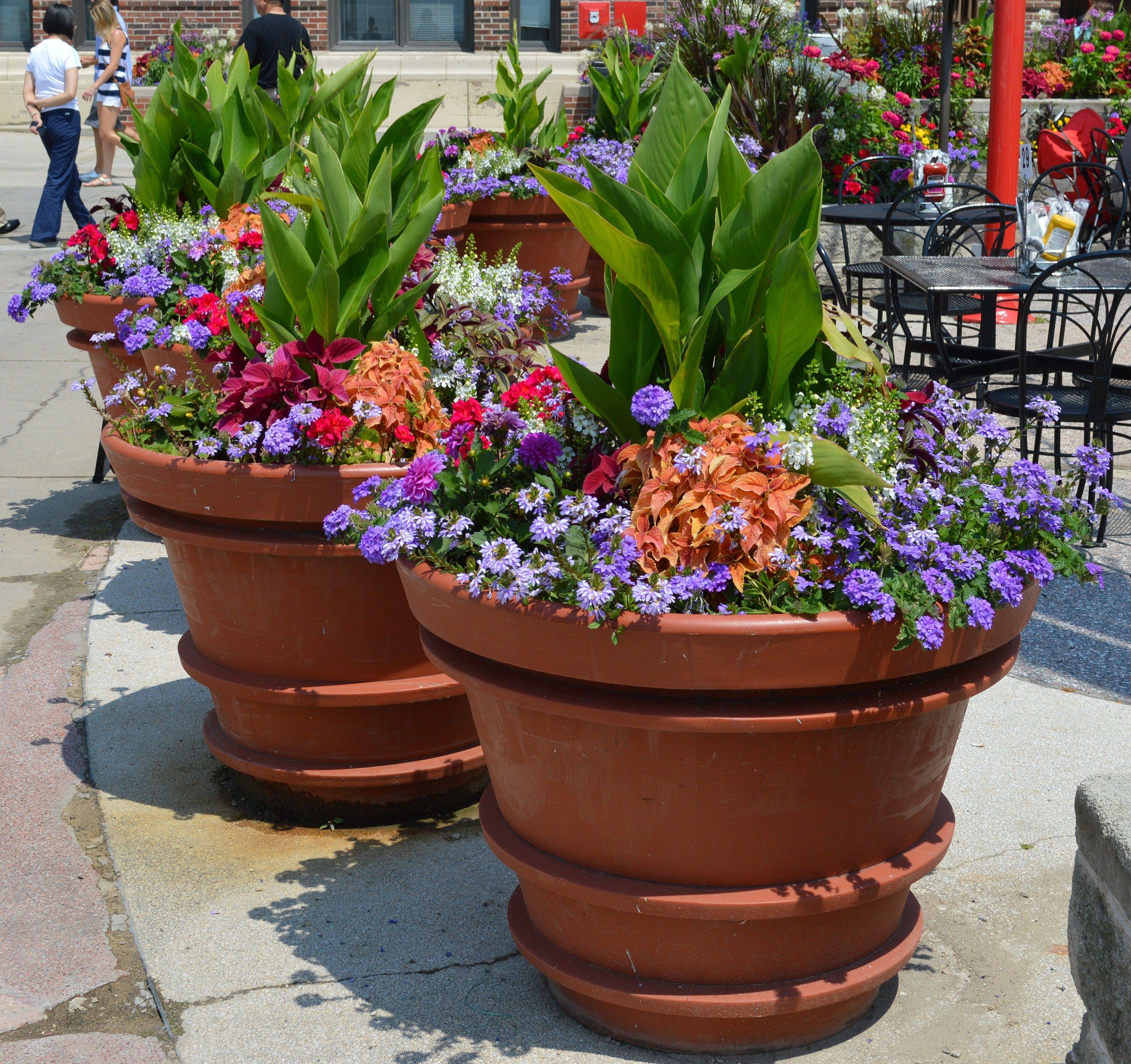 Beautiful Front Yard Container Garden Ideas