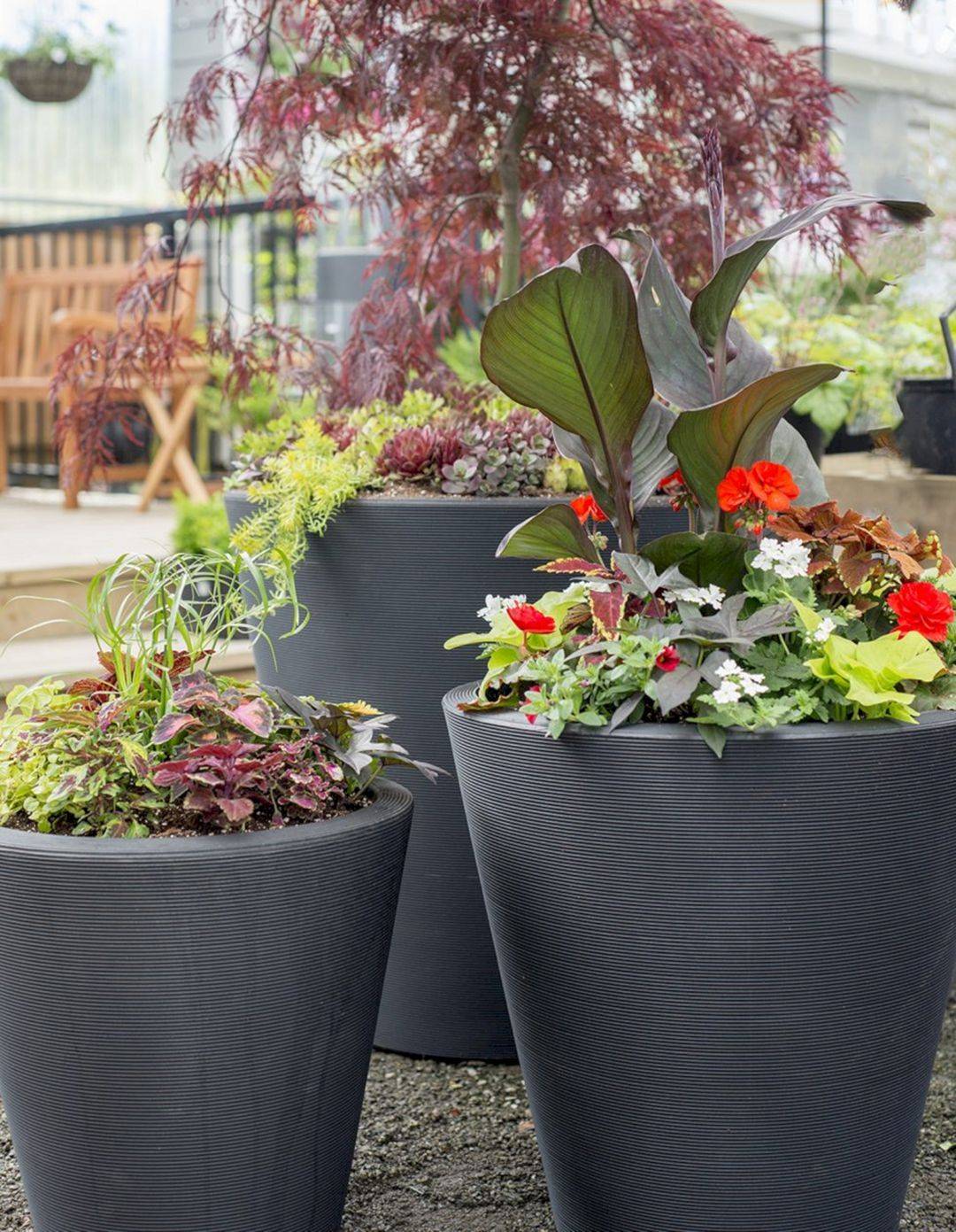 Summer Container Garden