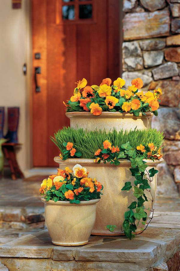 Nice Beautiful Front Yard Container Garden Ideas