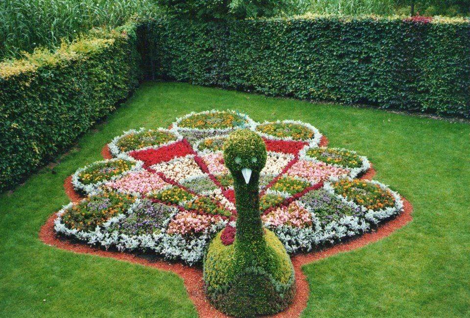 Marvellous Topiary Ideas Live Diy Ideas Backyard Landscaping