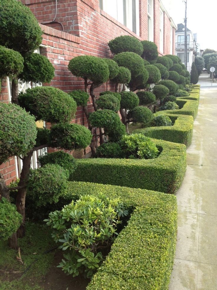 Topiary Shape Shifters Garden Design