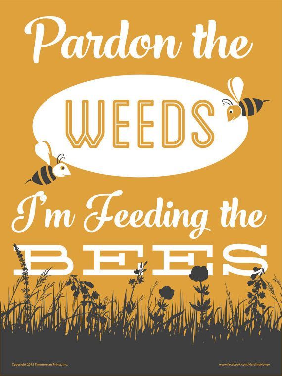 Beekeeping Signs