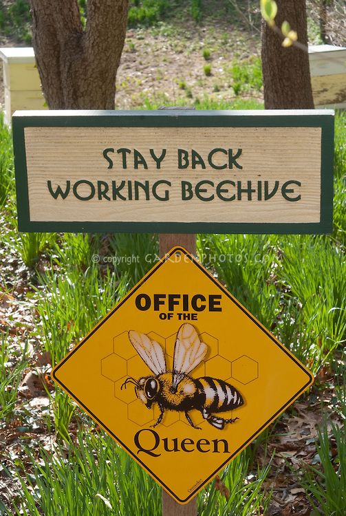 Pollinator Friendly Butterfly Garden Sign Garden Signs