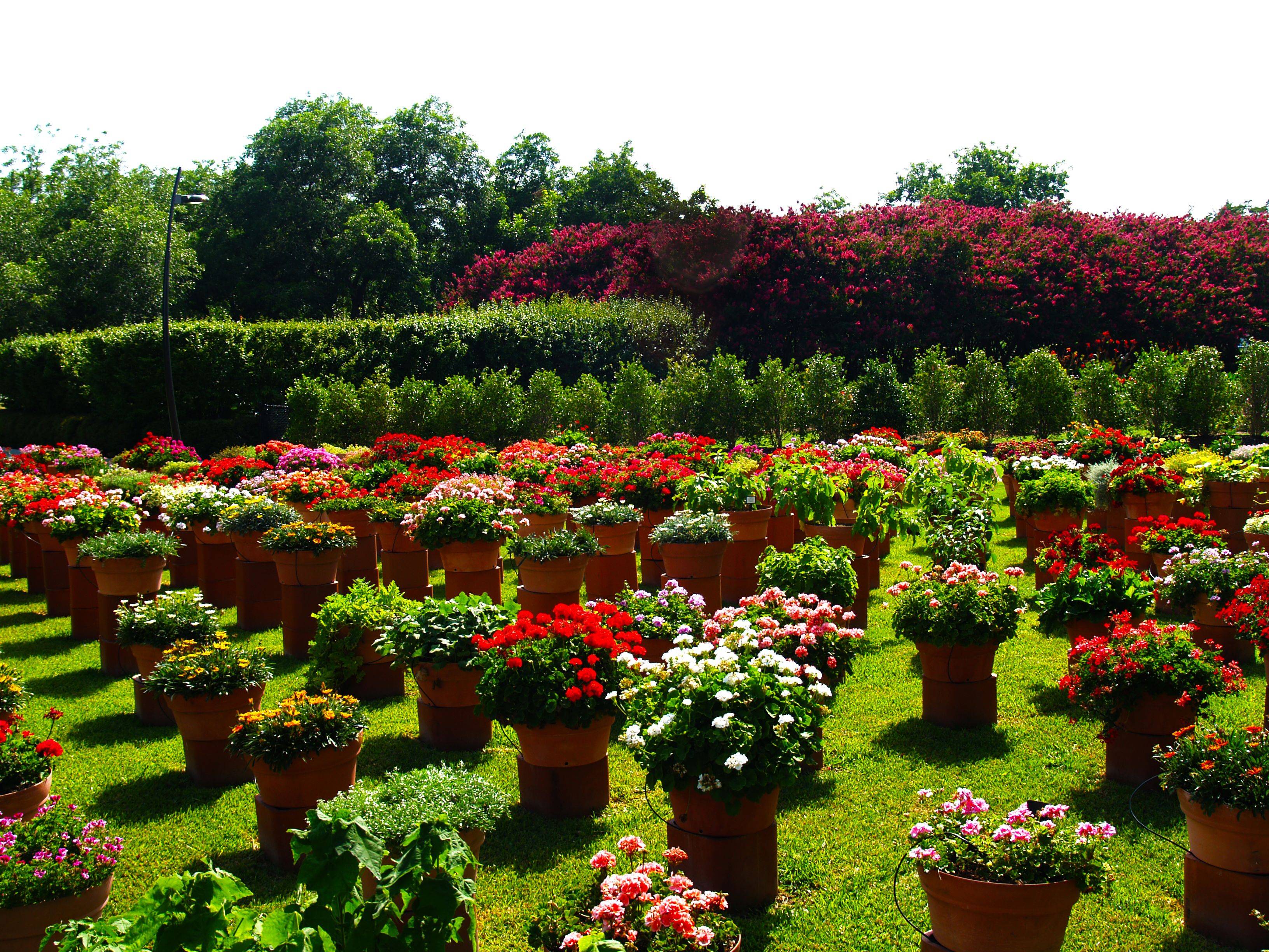 A Beautiful And Abundance Secret Garden