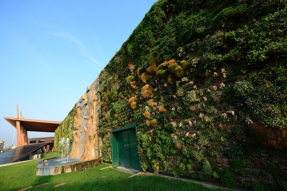 Pin Auf Home Green Ideas