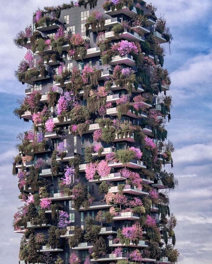 This Garden