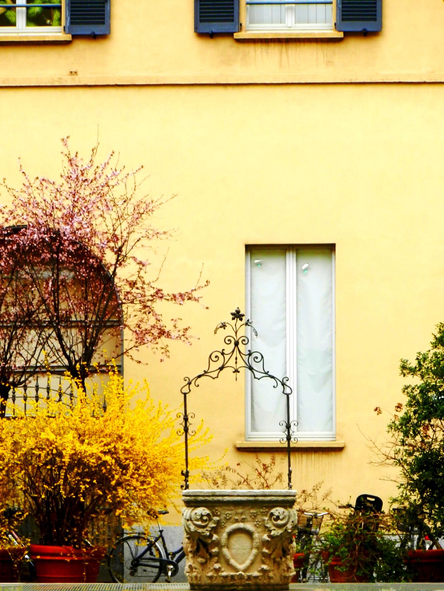 Wild Balcony