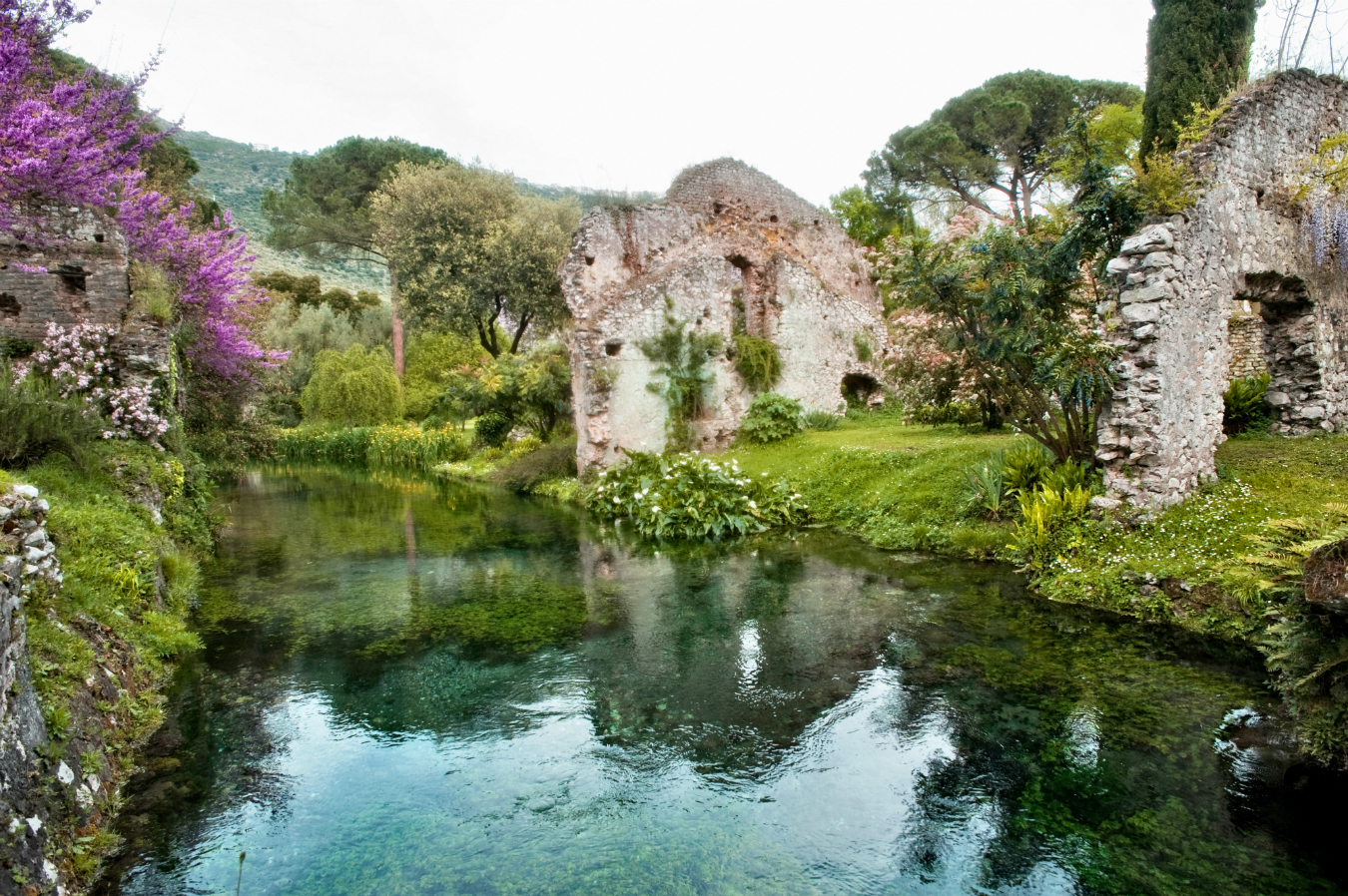 Ninfa Nature And Wildlife Travel Ideas