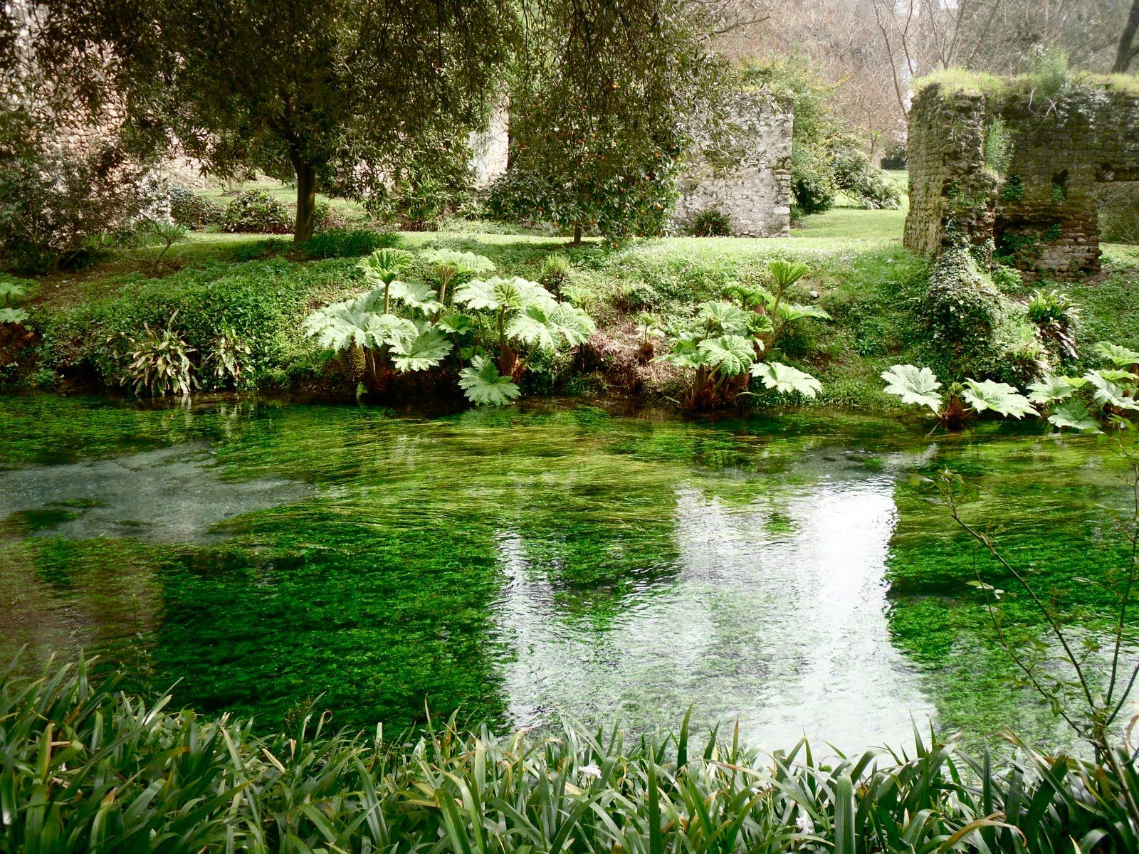 Slim Paley Beautiful Gardens