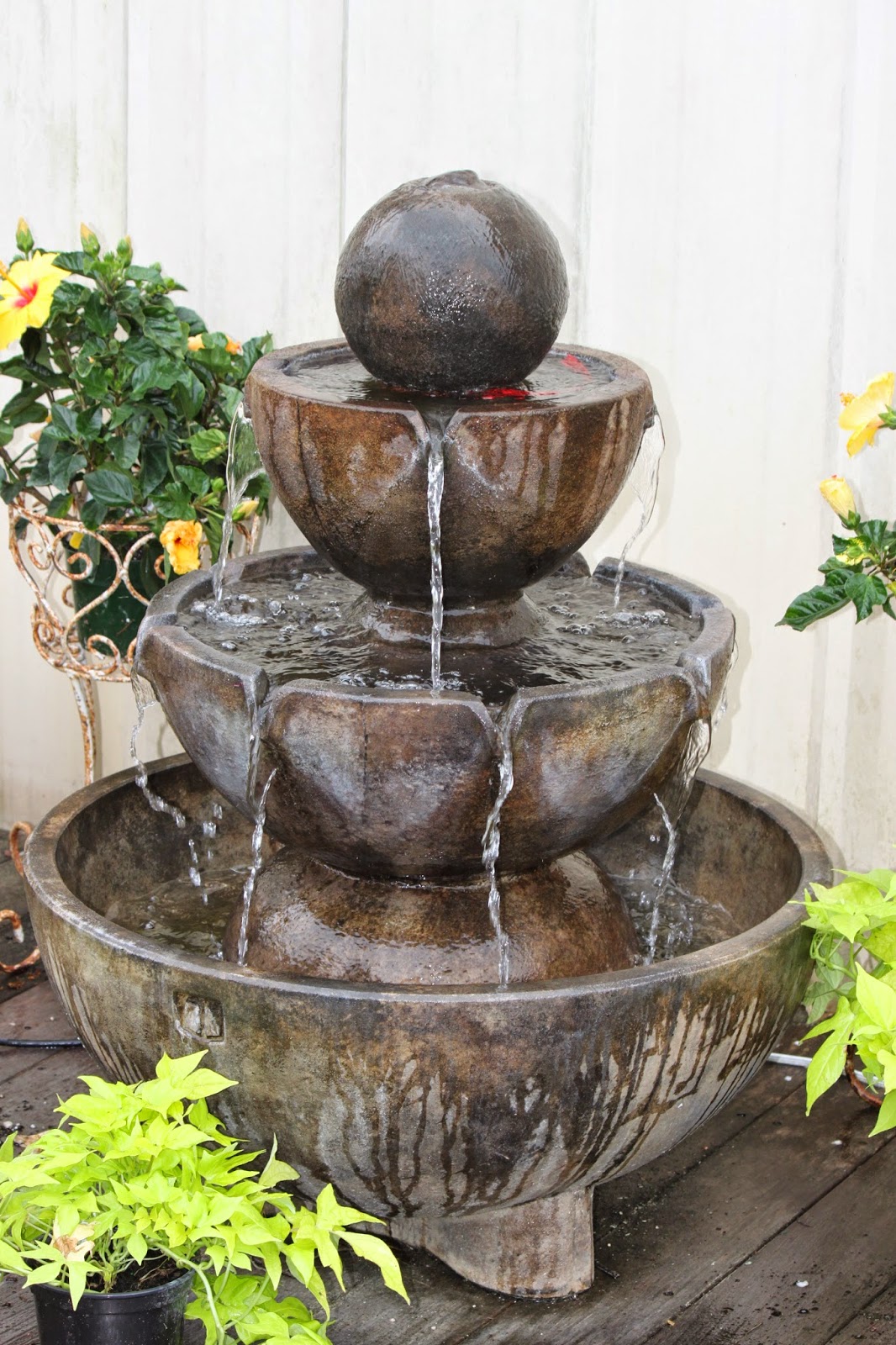 Savannahs Secret Gardens