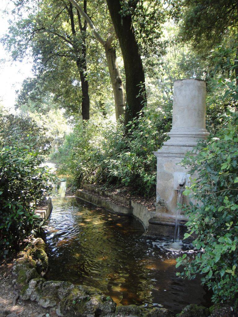 Boboli Rose Garden Florence