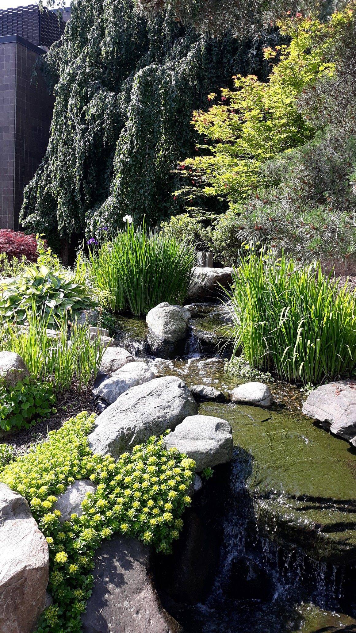 Dreamy Secret Garden Ideas
