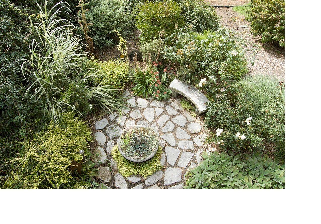 Water Garden Landscaping Ideas
