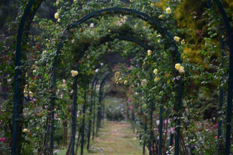 Amazing Secret Garden Design Ideas