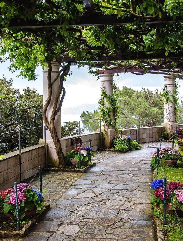 The Mediterranean Landscape Design