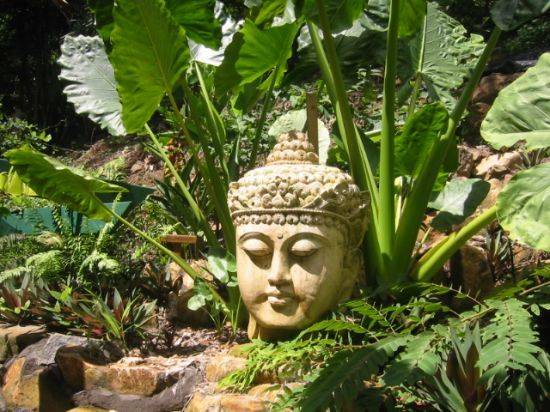 Buddha Plaque Buddha Garden