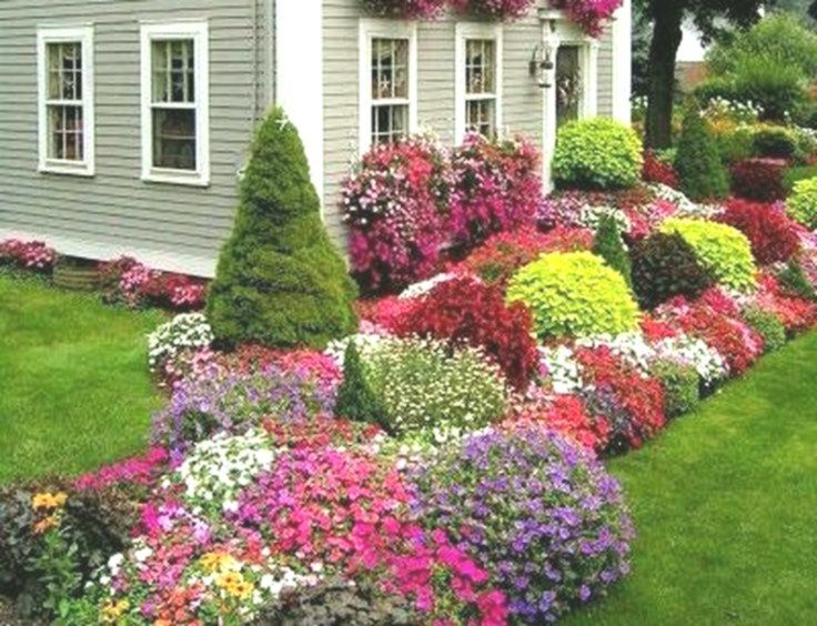 Garden Flower Hd Wallpapers