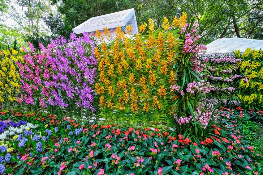 Iphone Wallpaper Paths Tjn Garden Entrance