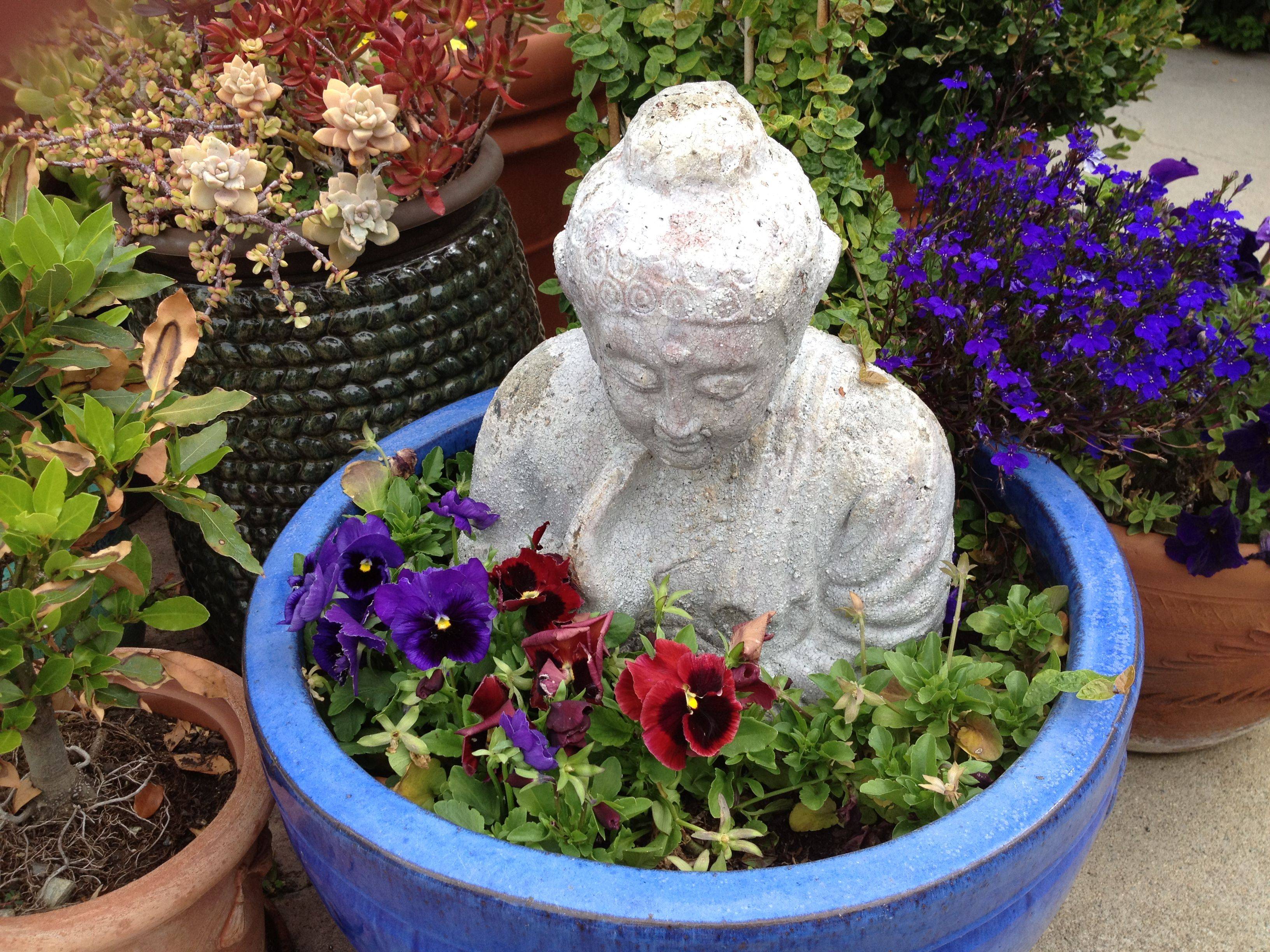 A Happy Buddha Fairygarden Buddha Diy Plants