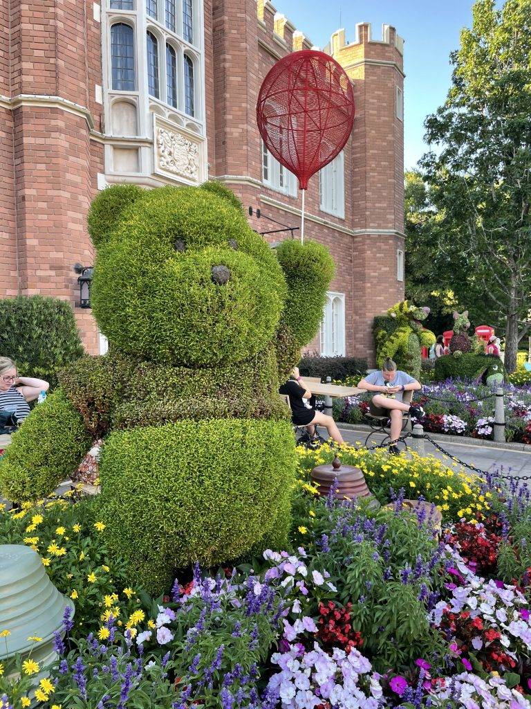 Epcot Flower