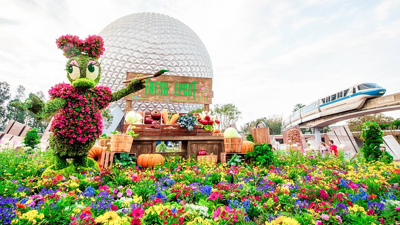 Epcot Flower