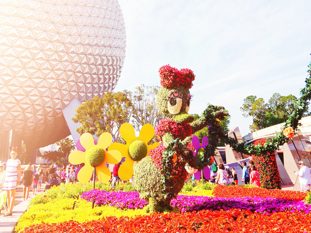 Epcot Flower