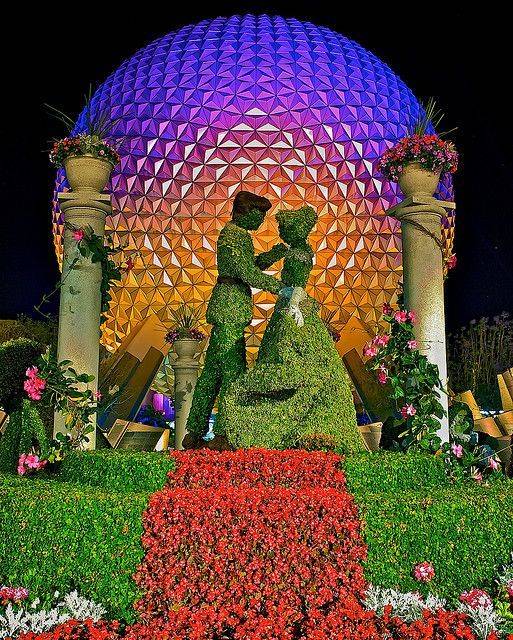 Epcot Flower