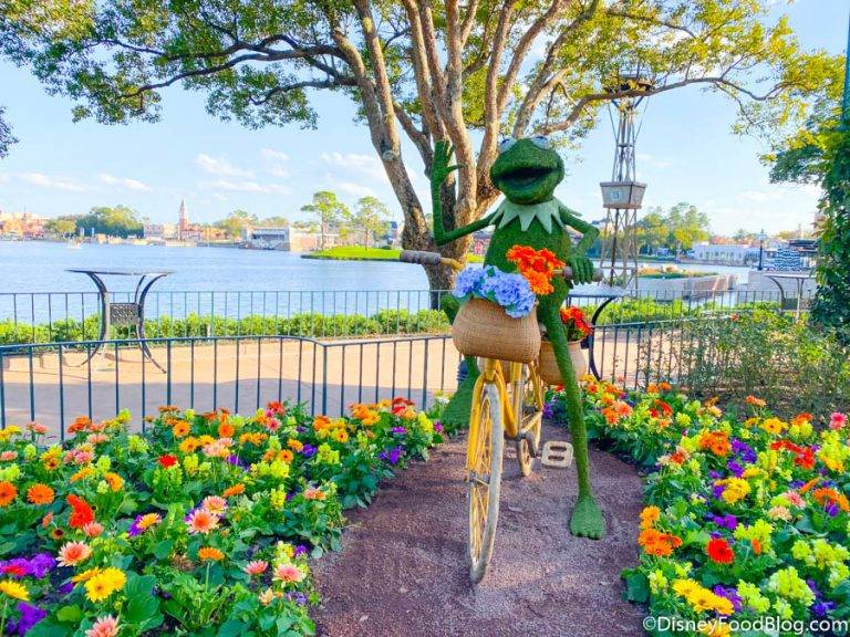 Epcot Flower