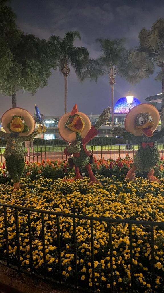 Epcot Flower