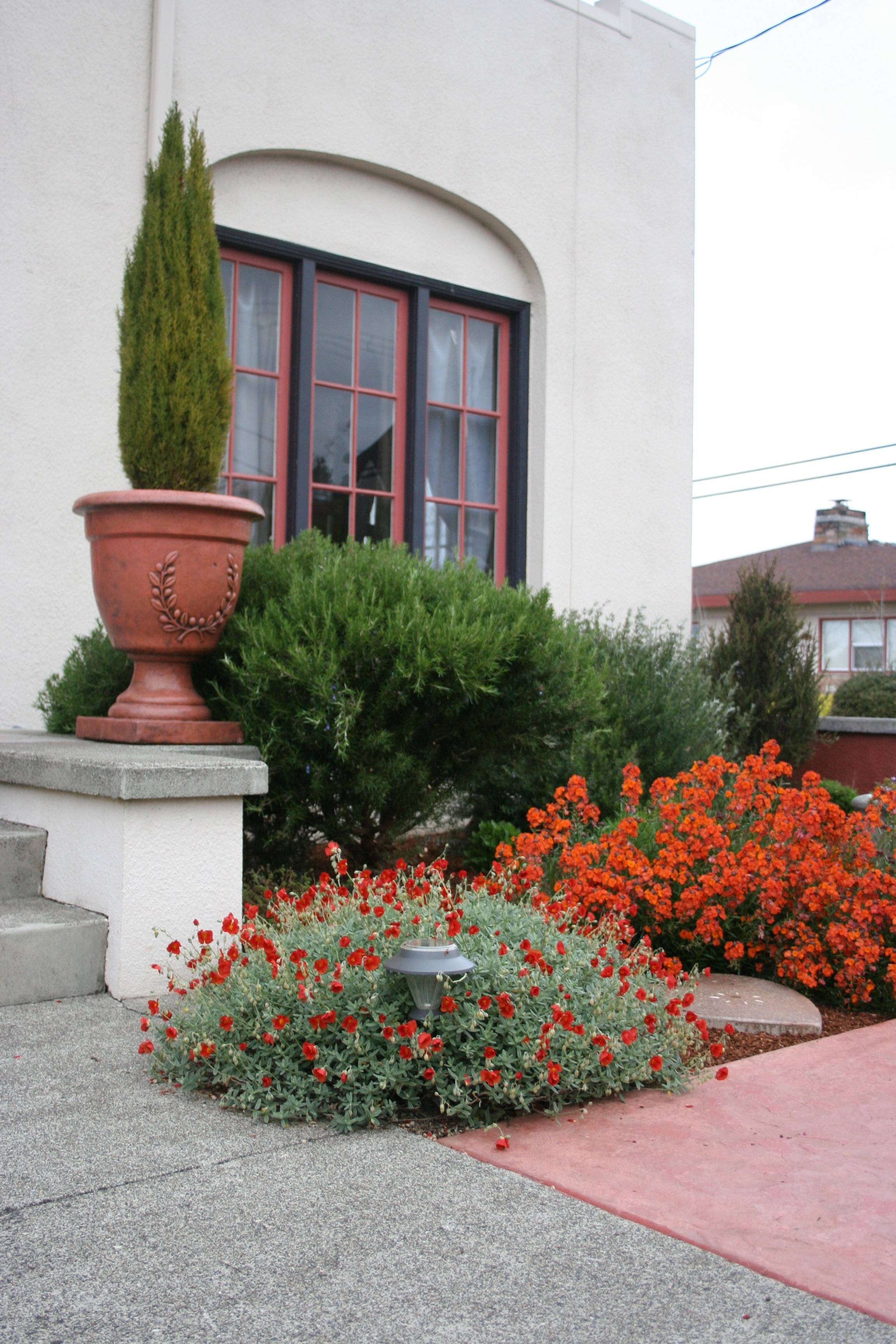 A Mediterranean Garden Style