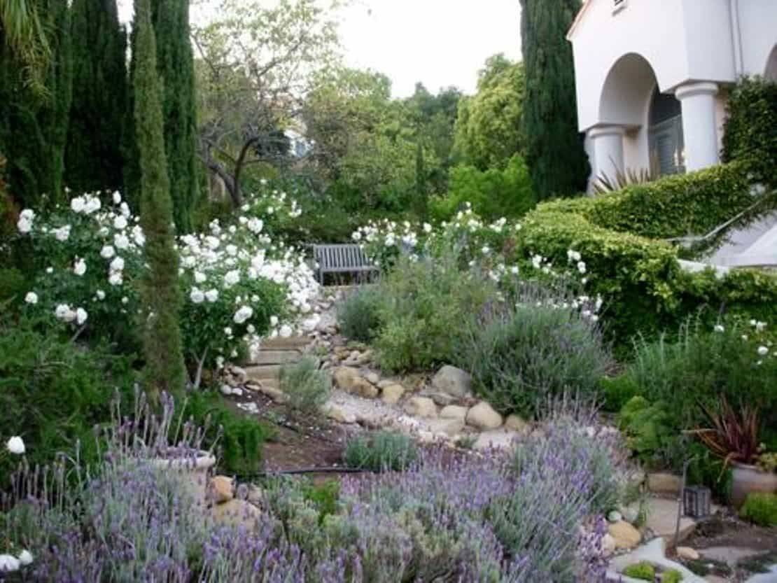 Mediterranean Garden Design