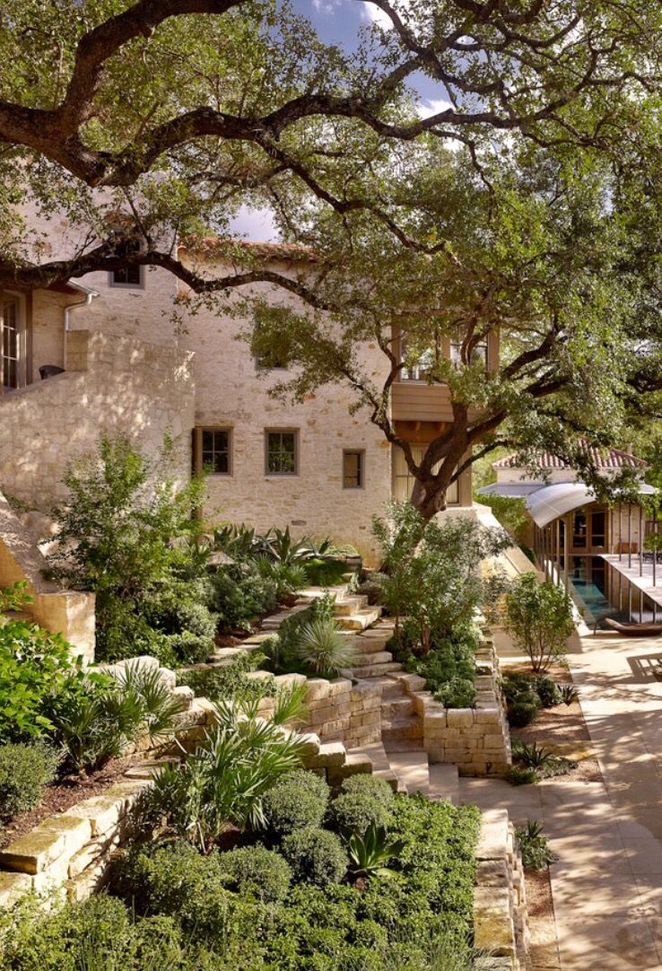 Mediterranean Garden Design