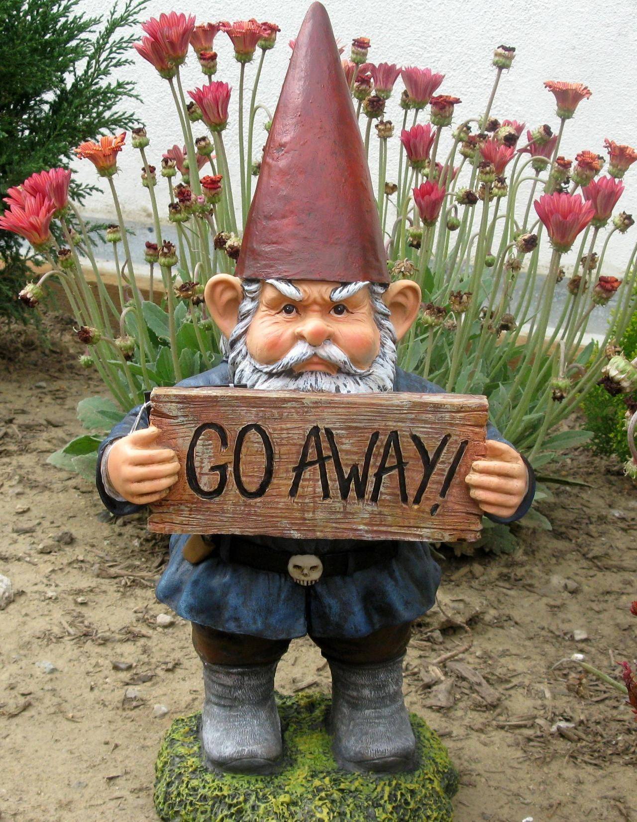 Fantasy World Girl Gnome