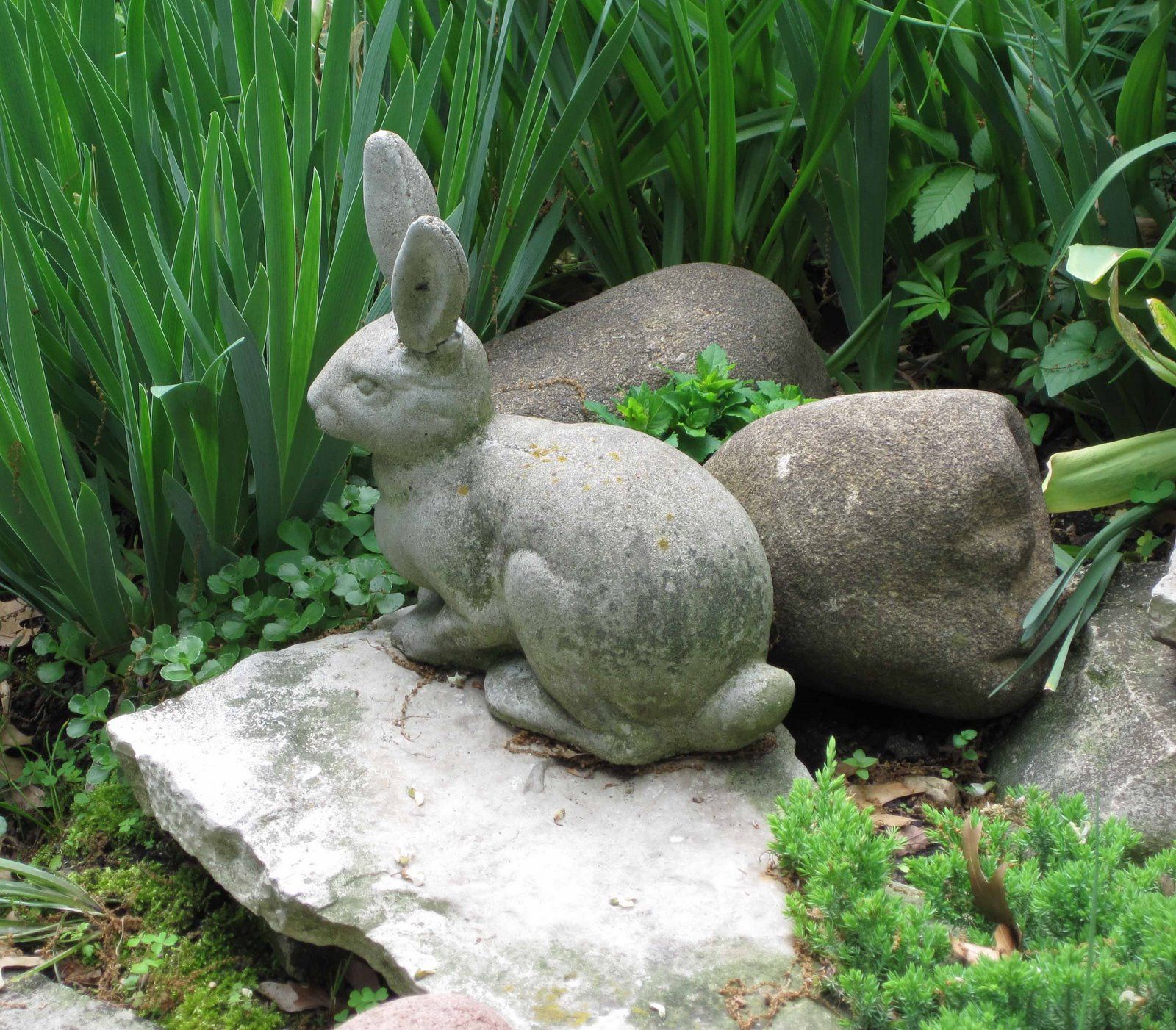 Solar Lighted Daydreaming Animal Sculpture Fresh Garden Decor