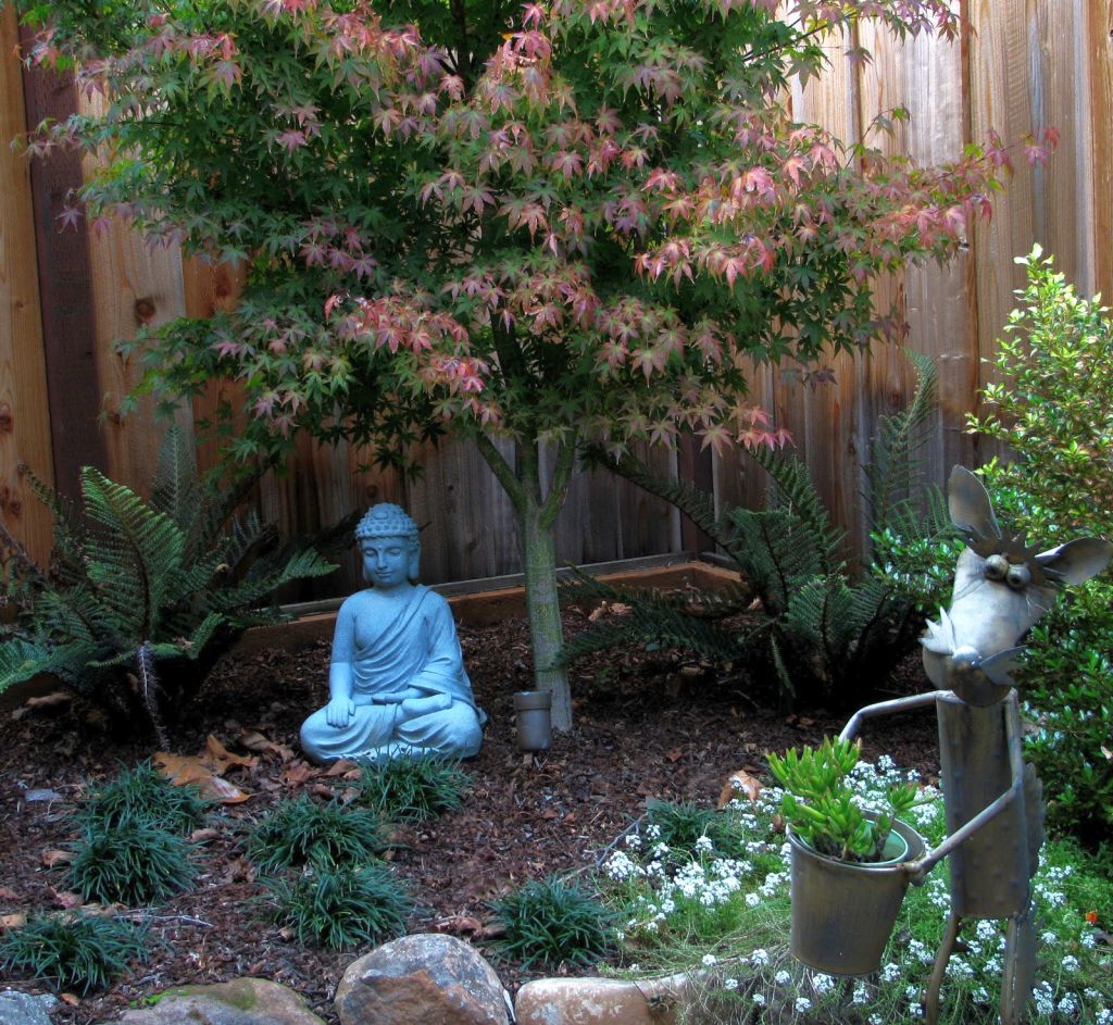 A Budget Small Garden Design Ideas