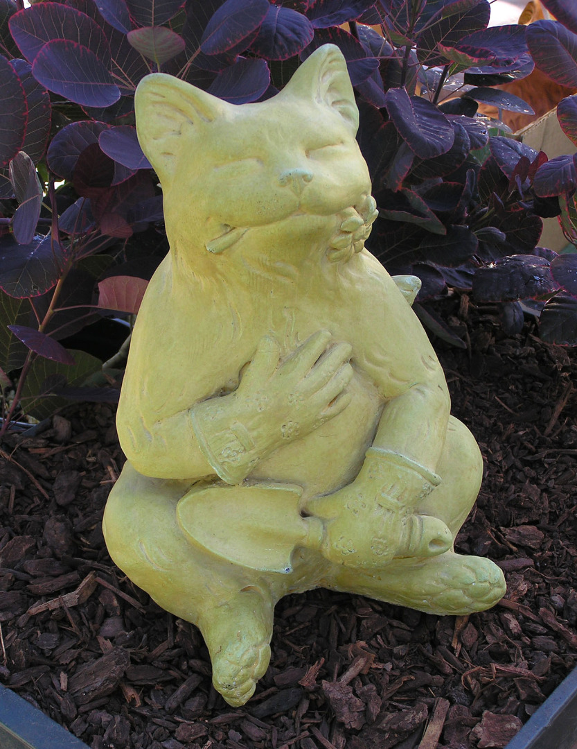 Campania International Prowl